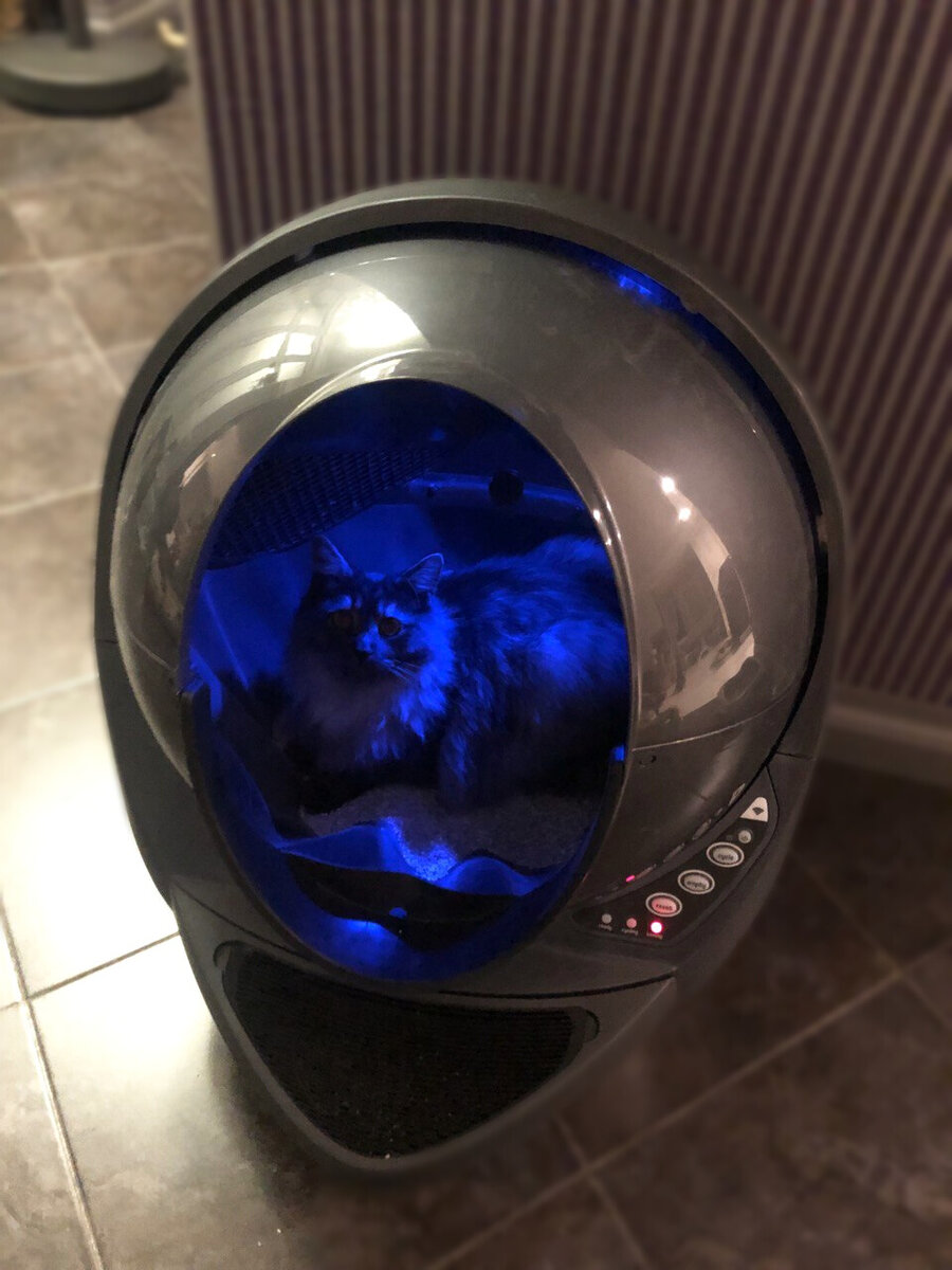 Litter Robot