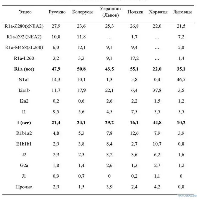Гаплогруппы славян