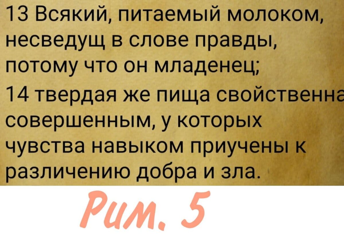 Знание Библии ещё никого не изменило или секрет безгрешной жизни | Жизнь в  вере. | Дзен