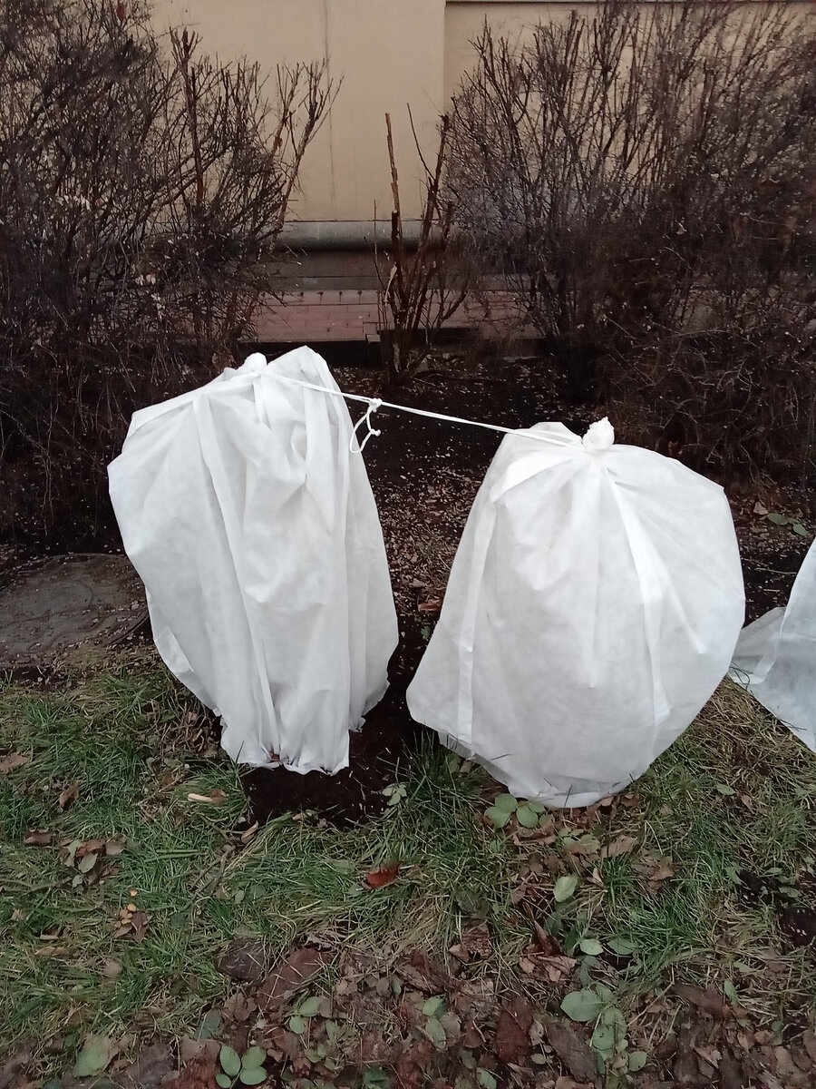 Наталья Оливко