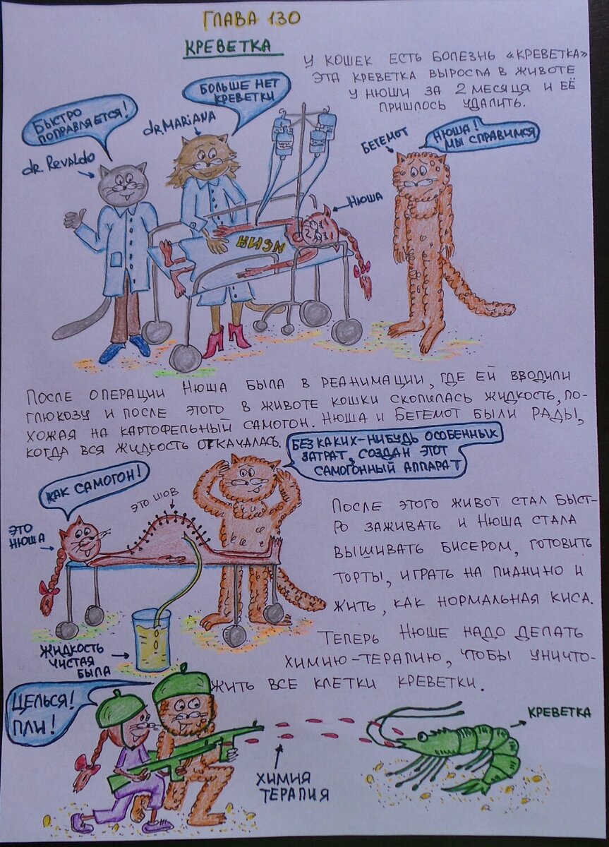 продолжение новеллы