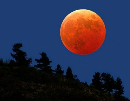 фото из сети