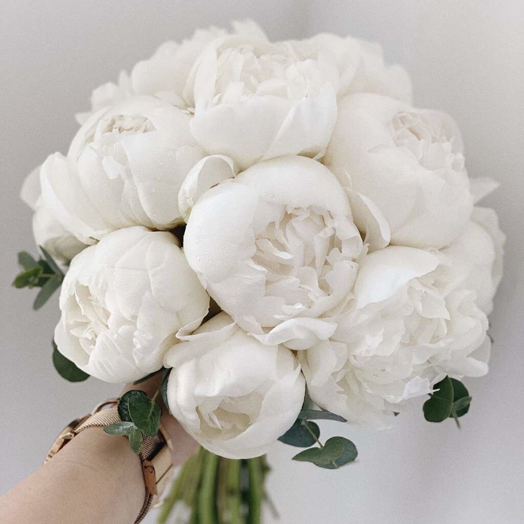 Фото из Яндекс картинки 