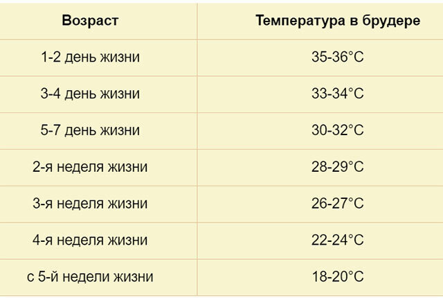 Изменение агрегатных состояний вещества. III вариант (окончание)