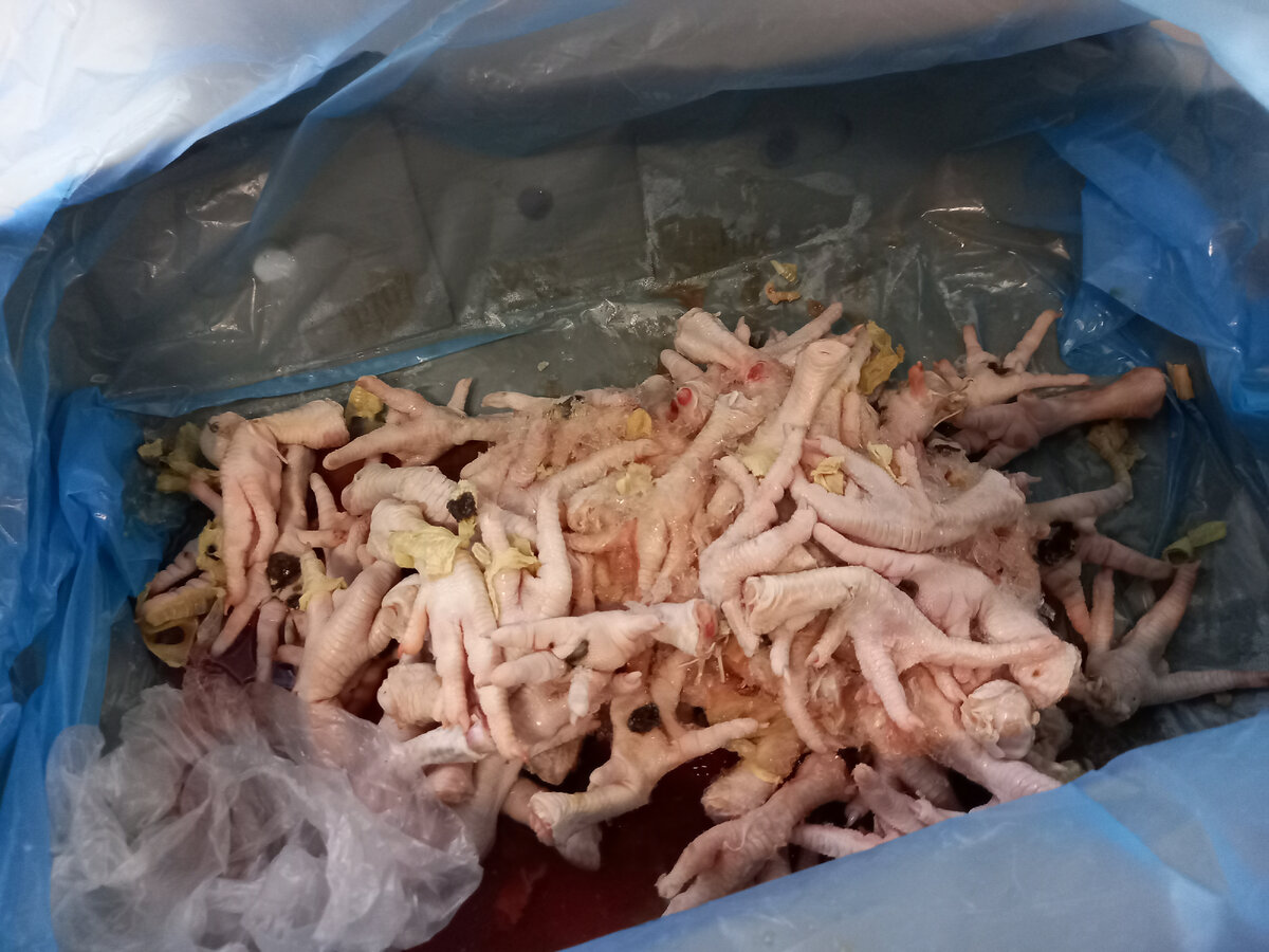 Фото автора. Куриные ноги 