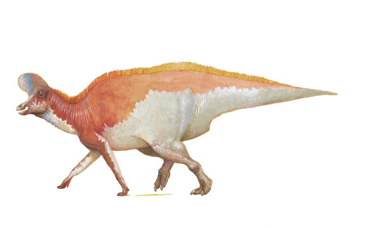 Ты меня с коровой сравнил? Серьёзно?