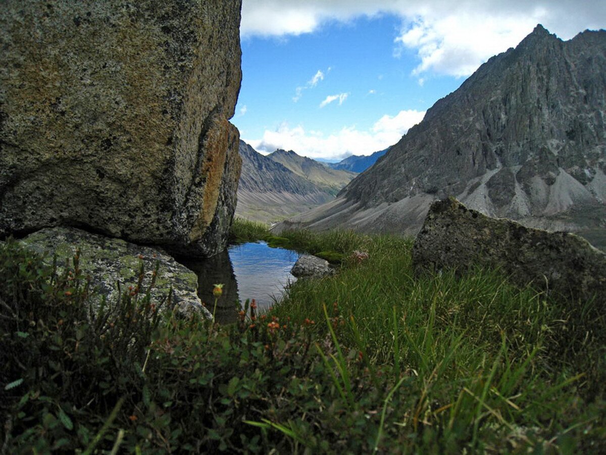 Кодарский хребет Забайкалье