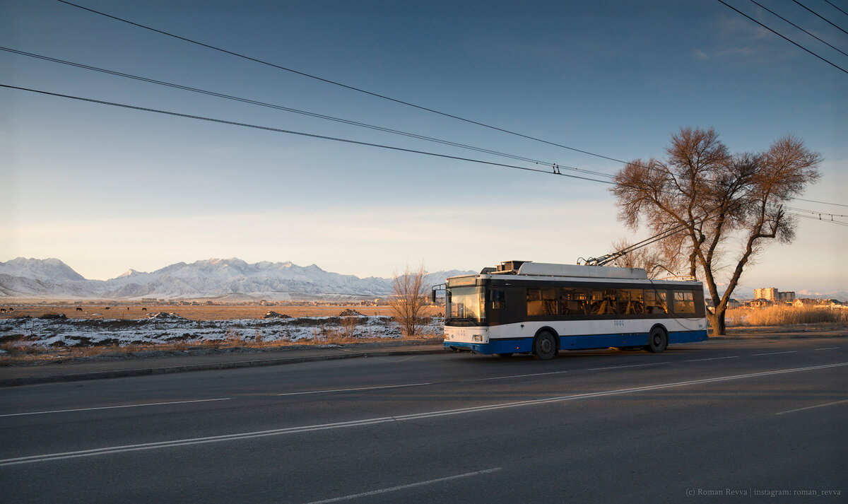 Тролза-5275.03 «Оптима» на фоне киргизского хребта Ала-Тоо. Также видно, как пасется КРС. Есть в этом какой-то шарм. Автор фото: Technicman. Источник — transphoto.org