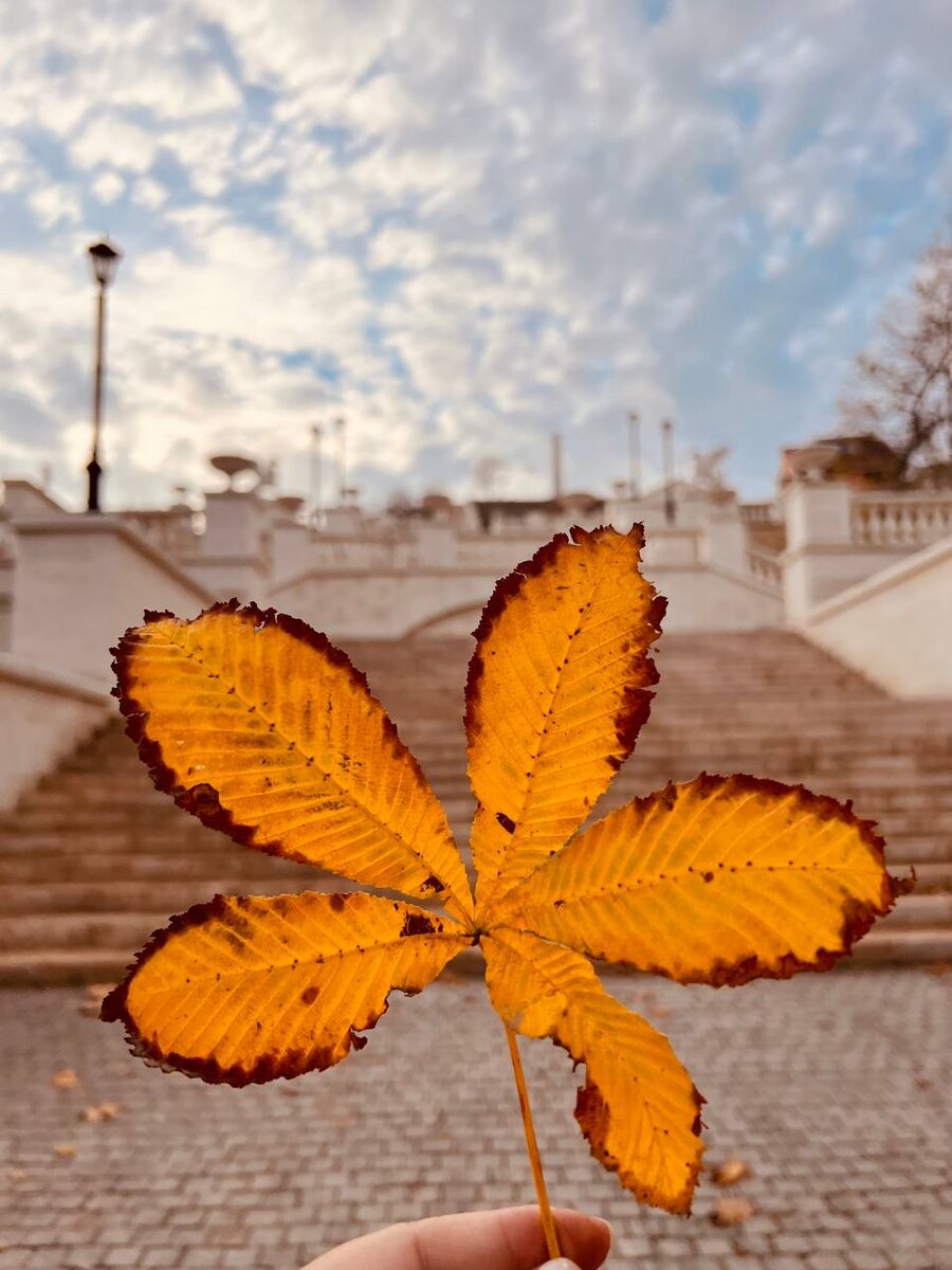 Из личного архива 