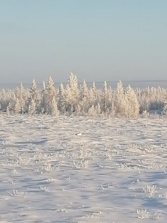Фотография из личного архива автора