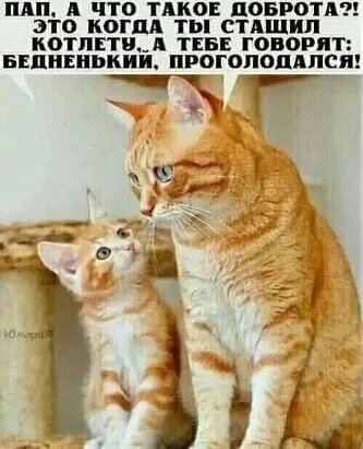 иллюстрация из яндекс картинки.