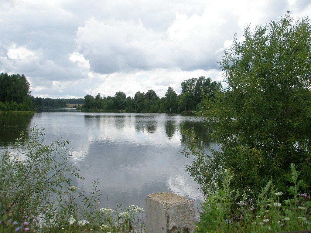 Пруд в деревне.Фото автора