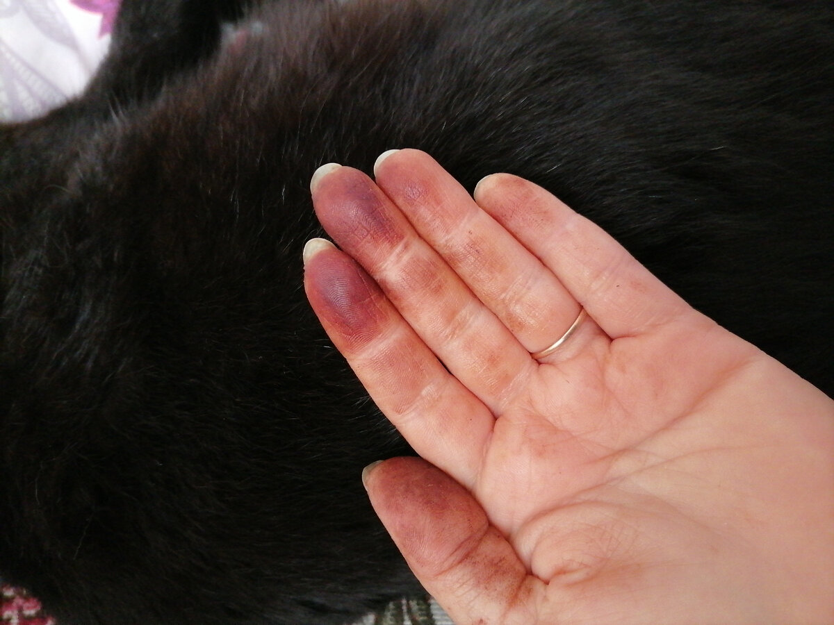 Перепробовав все советы интернета