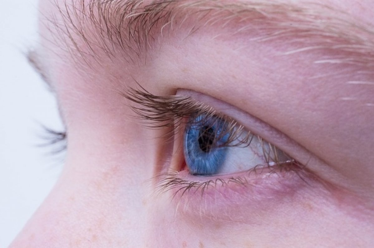    Офтальмолог Меркулова объяснила, как продукты влияют на зрение