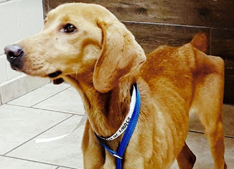 Улучшения заметны сразу И спустя пару недель, 