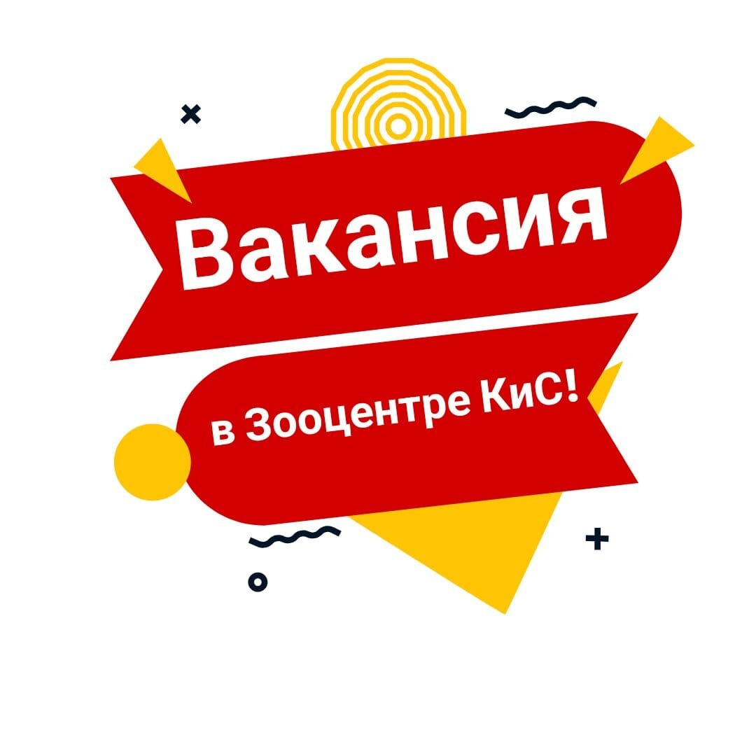 4 вакансии для любящих животных людей | Волонтер Зооцентра КиС | Дзен