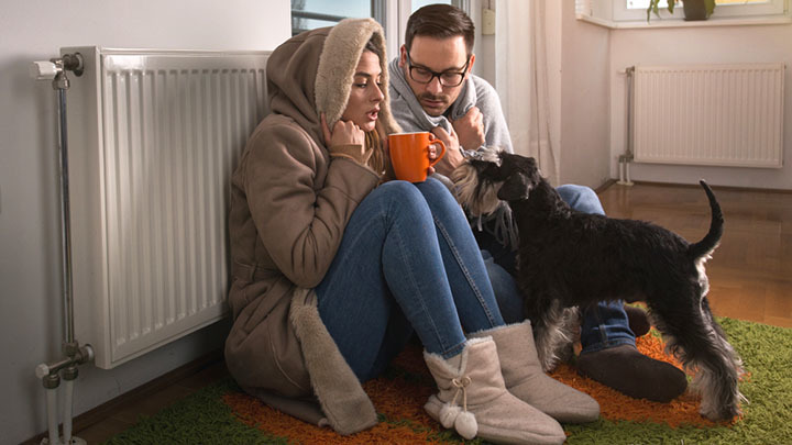 ФОТО: BUDIMIR JEVTIC/SHUTTERSTOCK.COM 