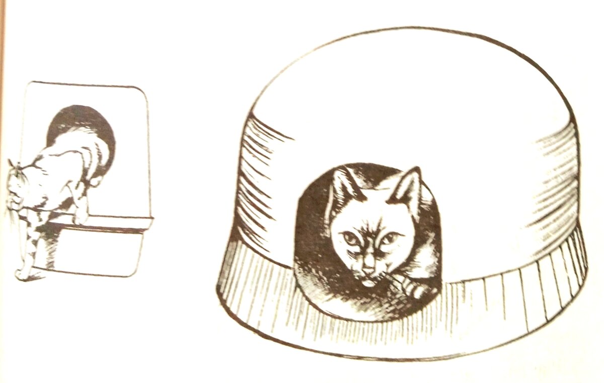 Кошачьи домики