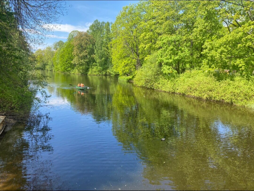 Картинка из свободного доступа