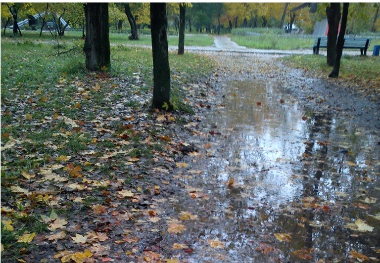 Фото Шпис В. И.