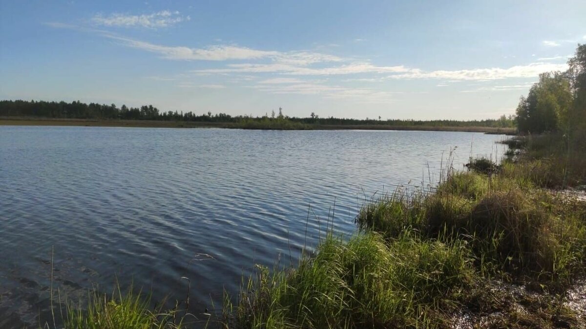 озеро павловское в бокситогорске