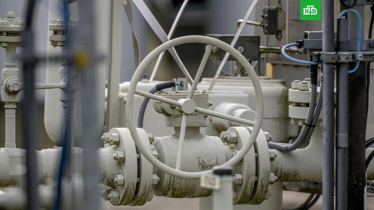    Фото: Associated Press © 2023, Michael Probst