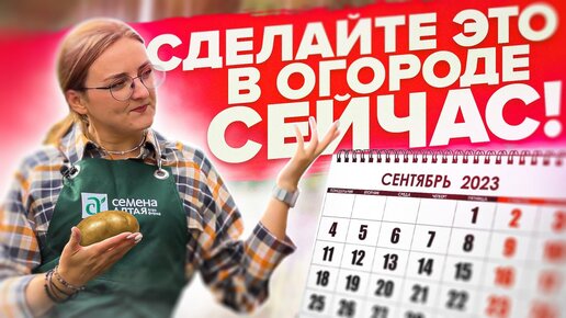 СЕНТЯБРЬ. НЕ ЗАБУДЬТЕ СДЕЛАТЬ ЭТО В САДУ и НА ОГОРОДЕ!