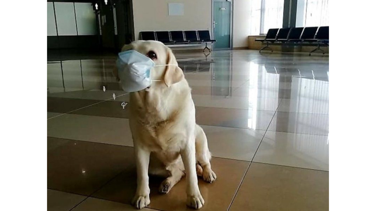 Фото взято из Яндекс картинок