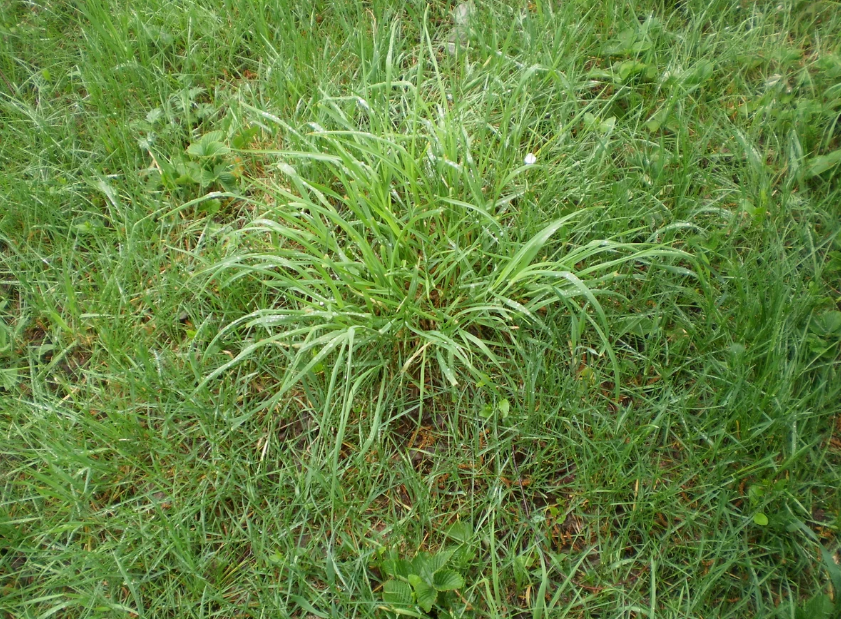 Взято из интернета из открытых источников