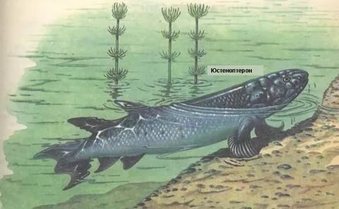 Может лучше тут жить?