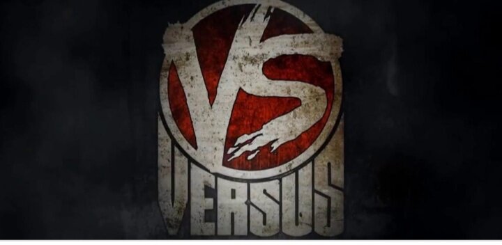 Один из первых логотипов Versus Battle