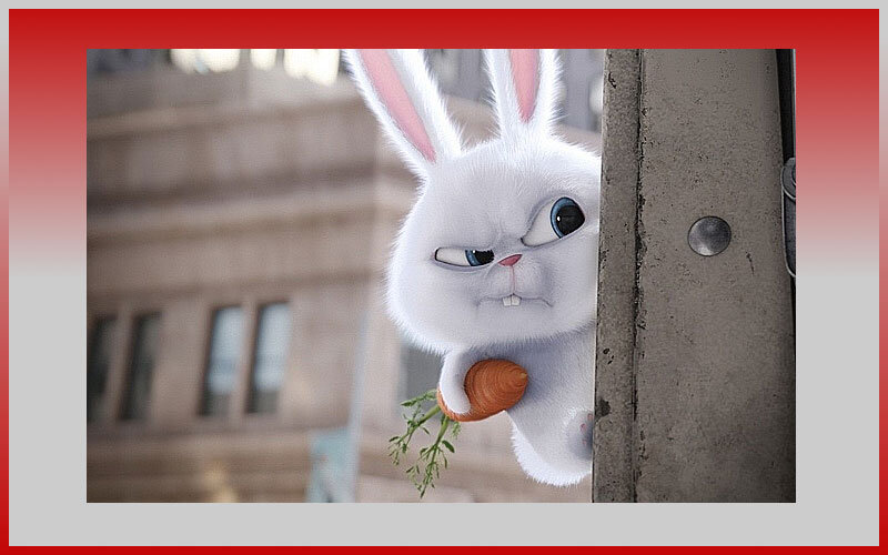 В мультфильмах кролики вовсю грызут морковку. 