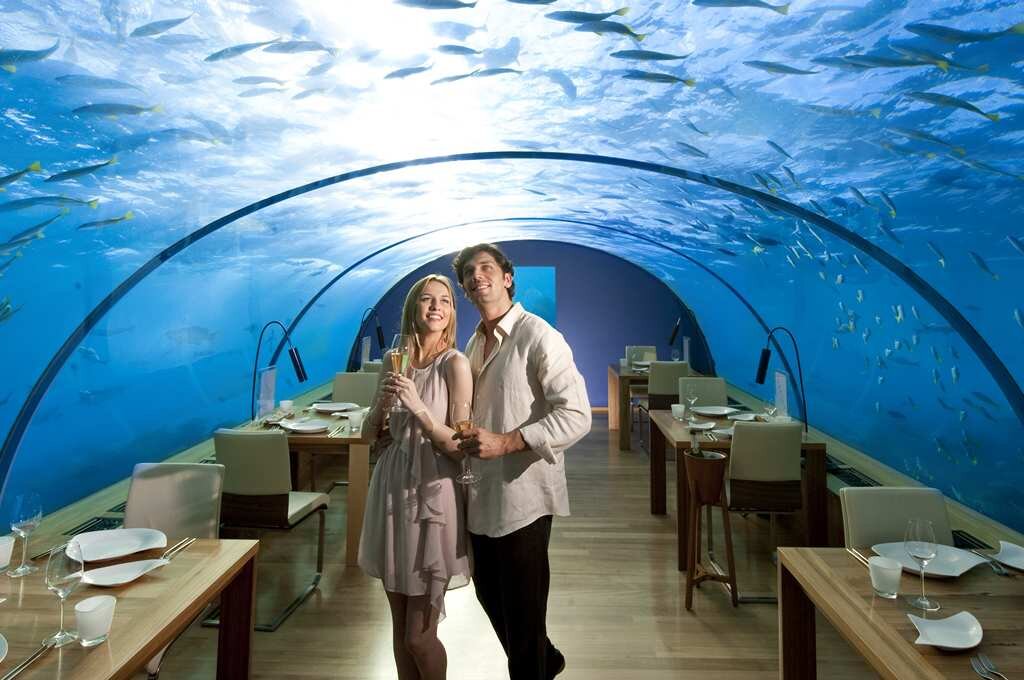 Фото взято с сайта humnowthatithinkaboutit.blogspot.com