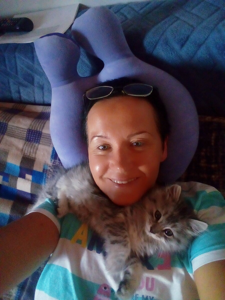 Мы ленивые котики!