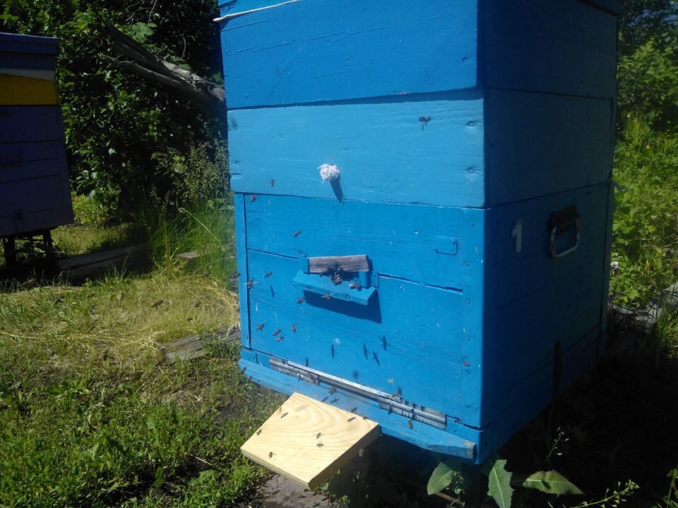 ... а если взяток хороший и семья сильная, то и два или более