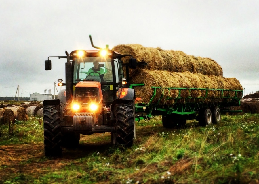 Фото: из архива редакции