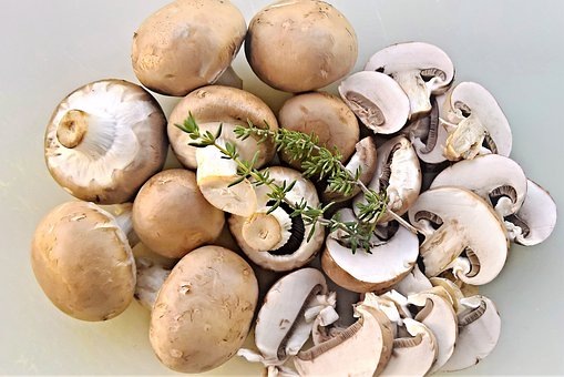 https://cdn.pixabay.com/photo/2019/09/28/10/11/mushrooms-4510369__340.jpg