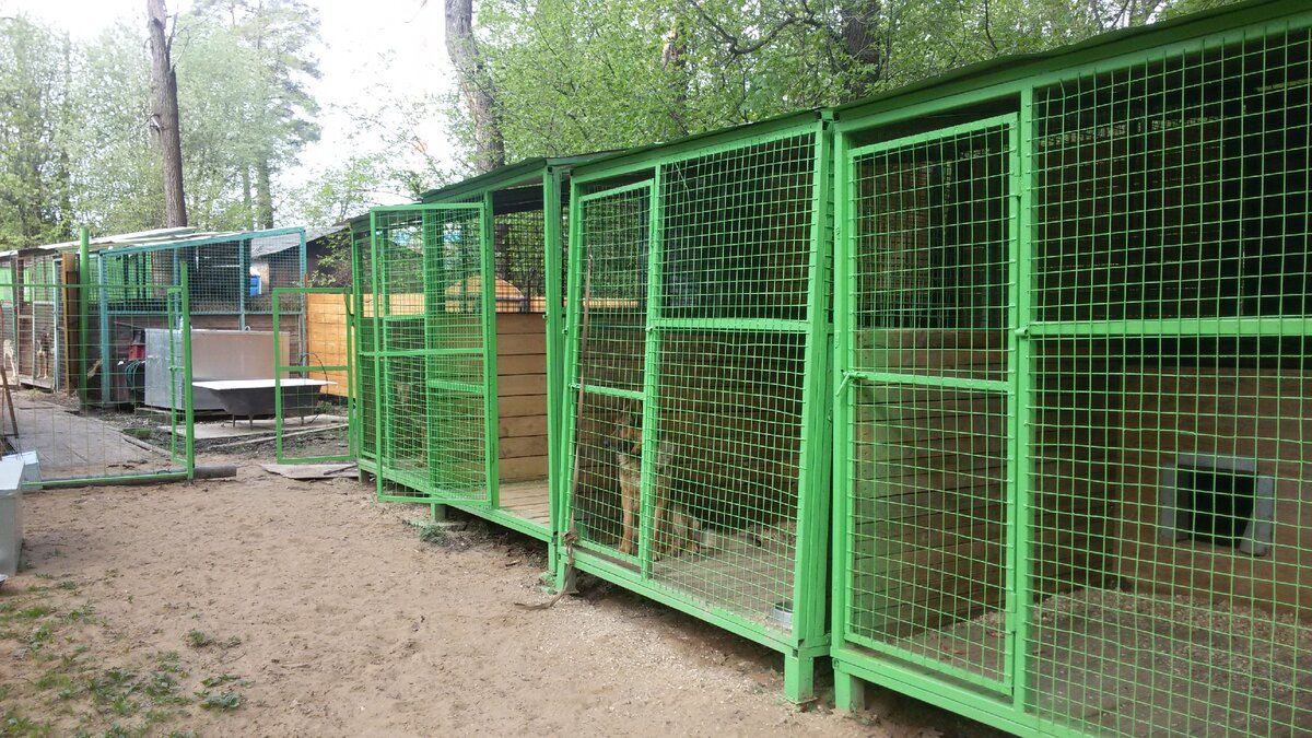 Просто картинка из интернета