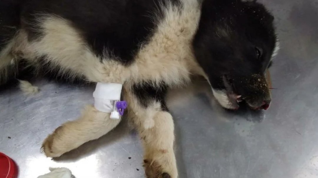 Народ знает!