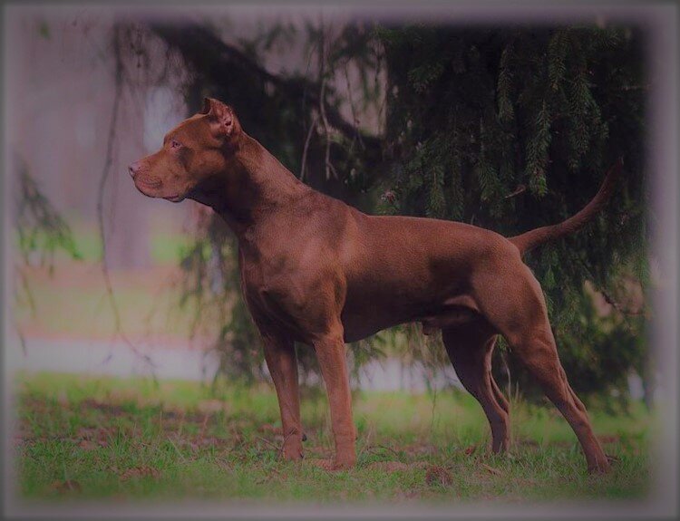 Фото из свободного доступа