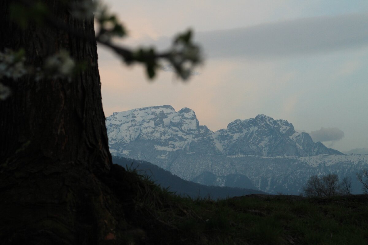 Столовая гора