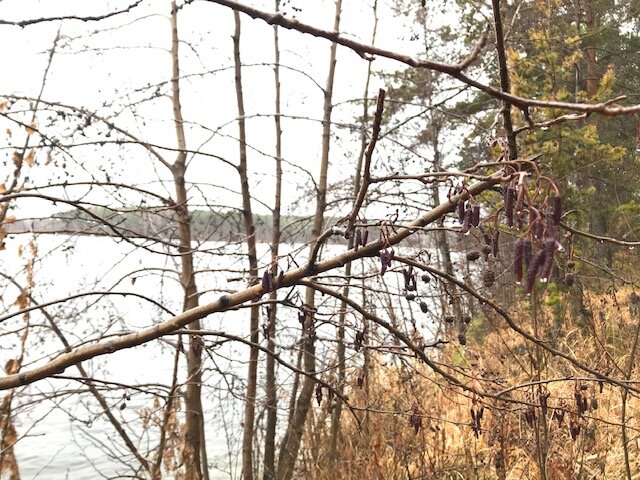 Дождик нам не помеха