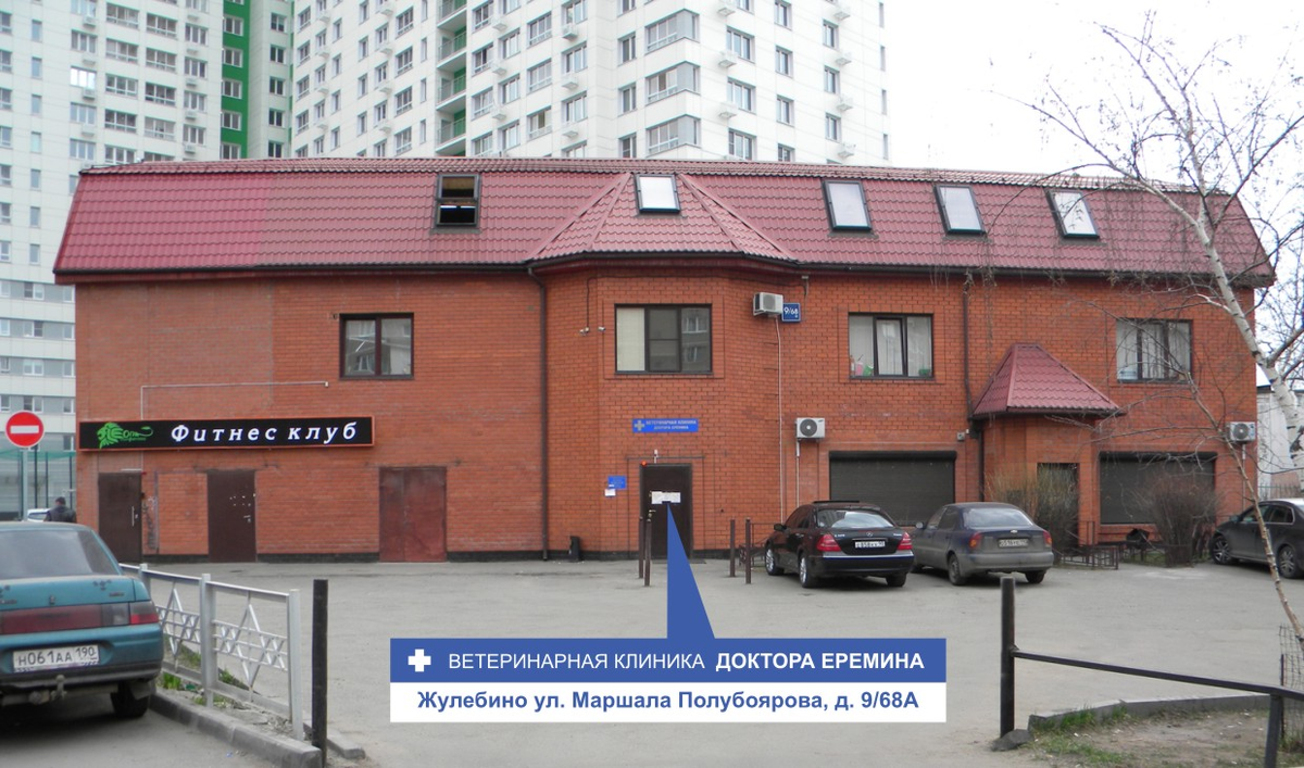 Та самая клиника. 