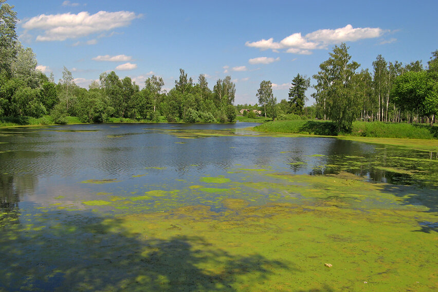 Прогулки без трусов