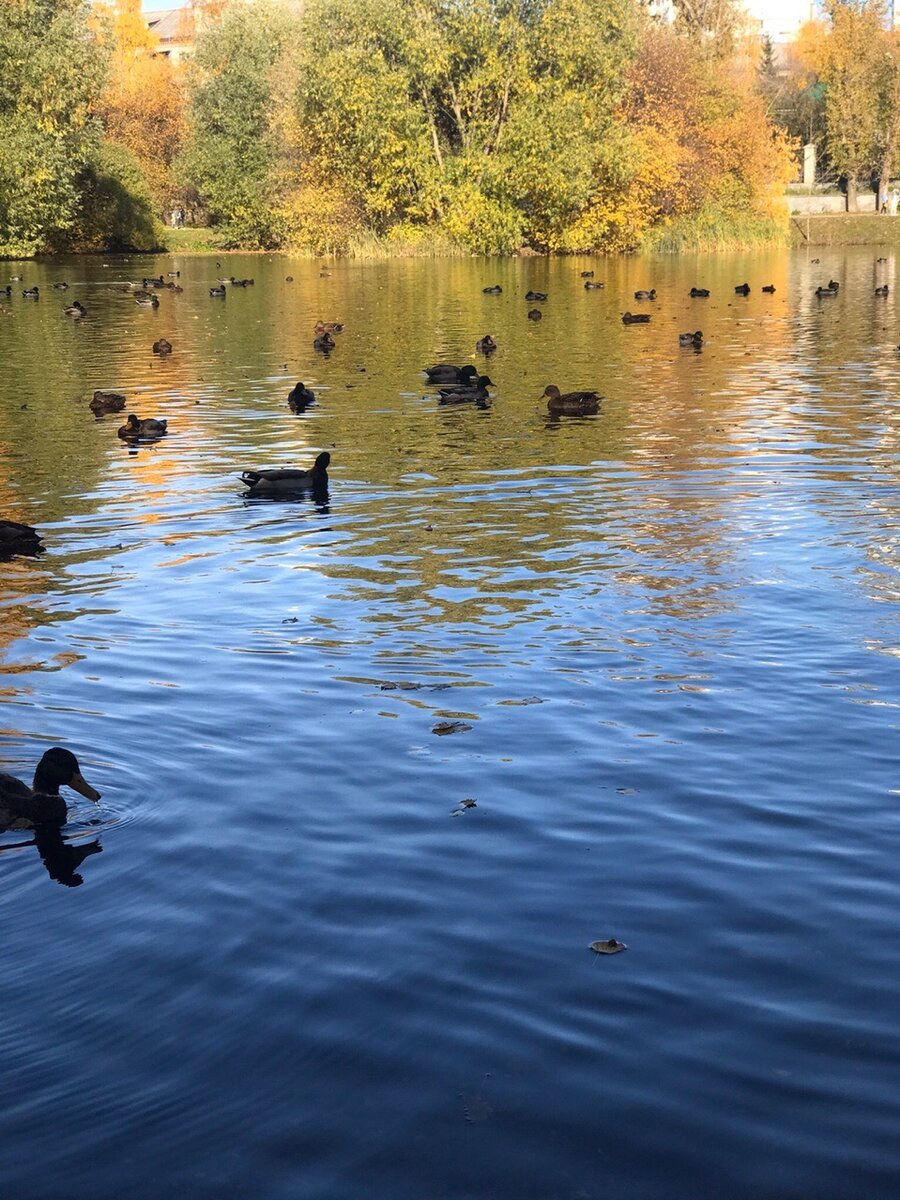 Харитоновский сад (Все фото будут из Екатеринбурга)