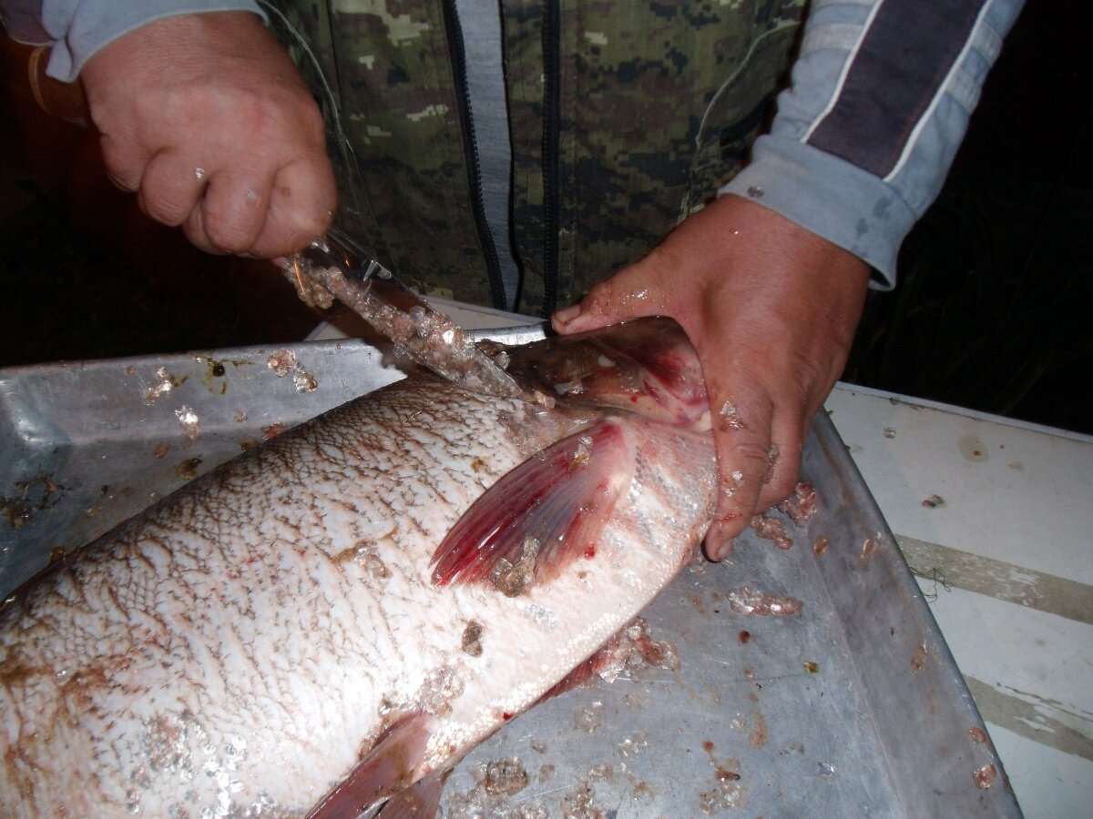 Как быстро почистить рыбу от чешуи дома (не ножом). Мой способ занимает несколько минут