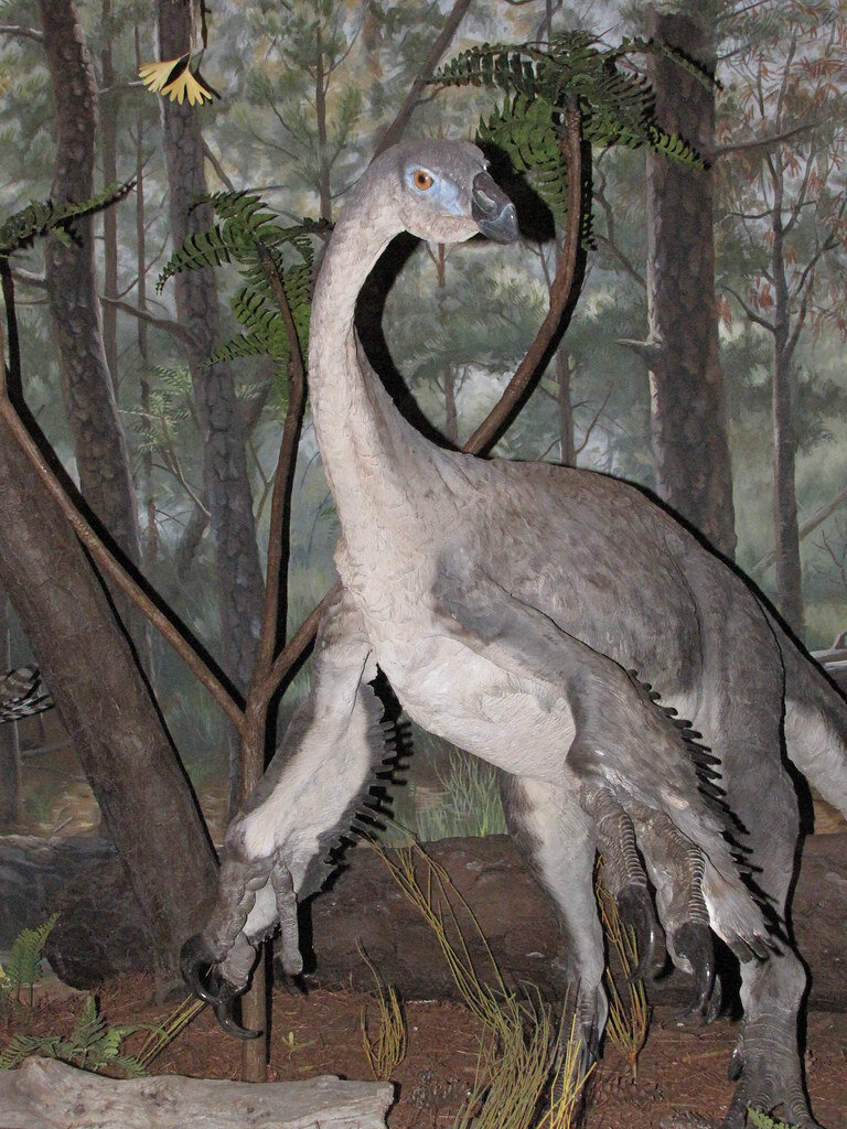 "Beipiaosaurus" by GerryT is licensed under CC BY 2.0 