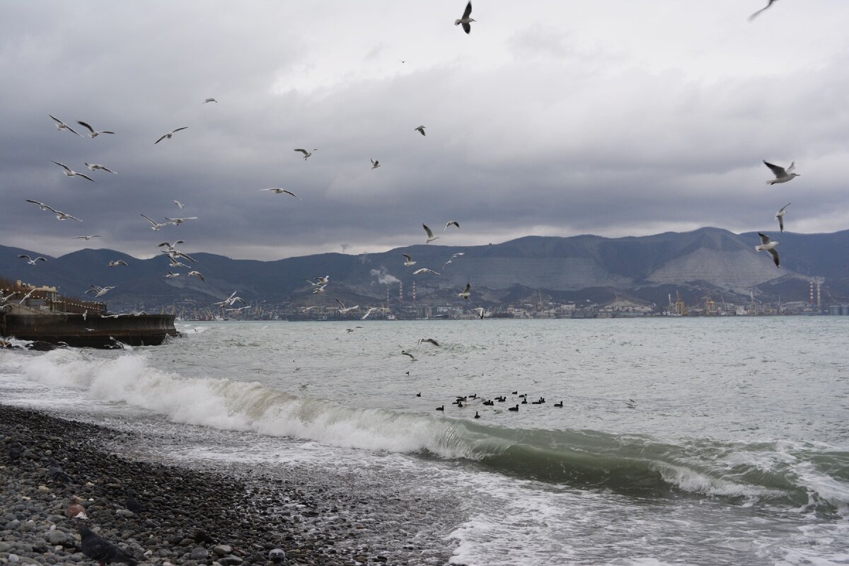 Вместо зимы на юге - 3 месяца "осень" с дождем и ветром