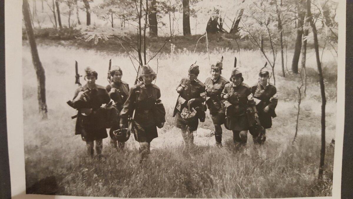 Мед. Сёстры!