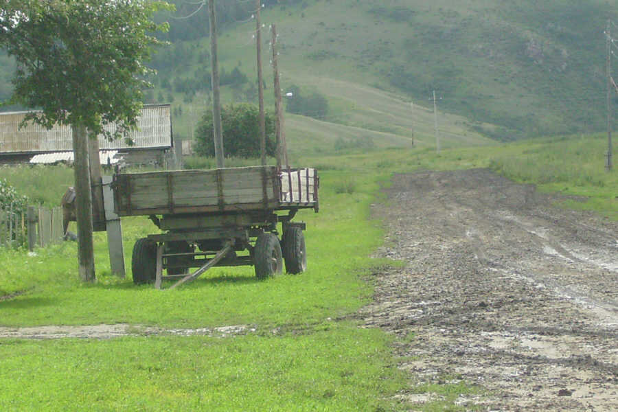 Фото автора.